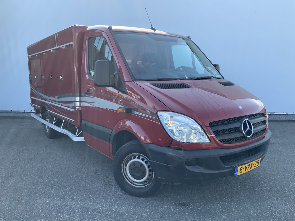 44770626-15.jpg