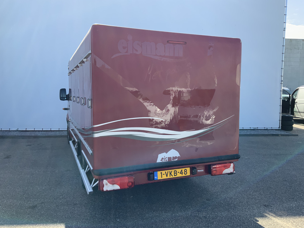 44772381-20.jpg