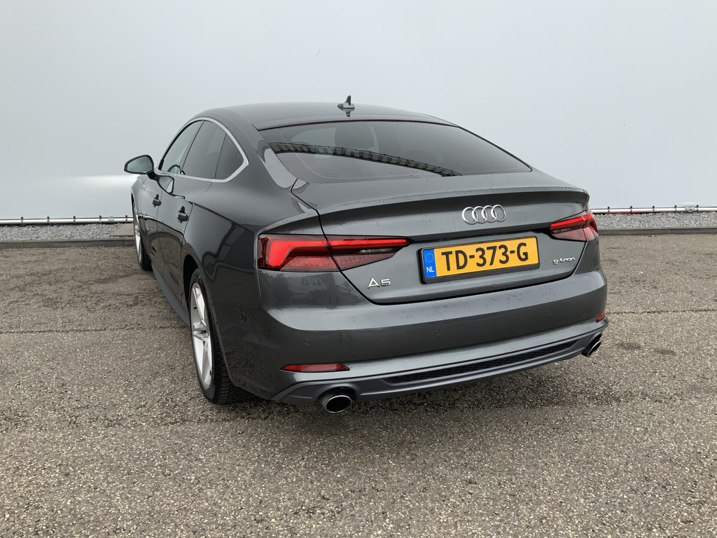 47131659-1.jpg