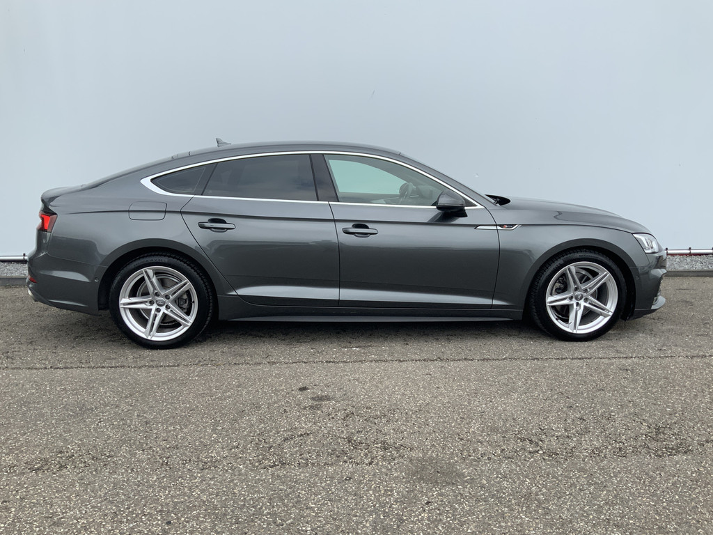 47131659-16.jpg