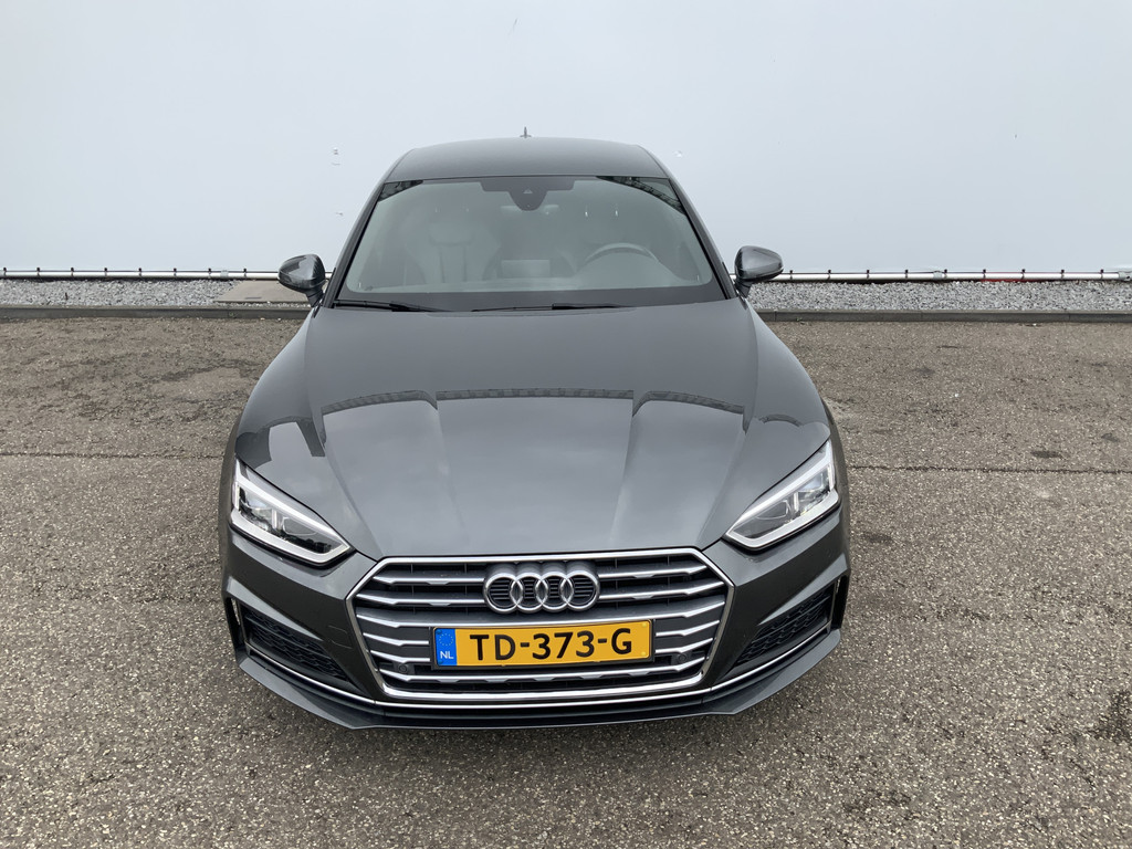 47131659-18.jpg