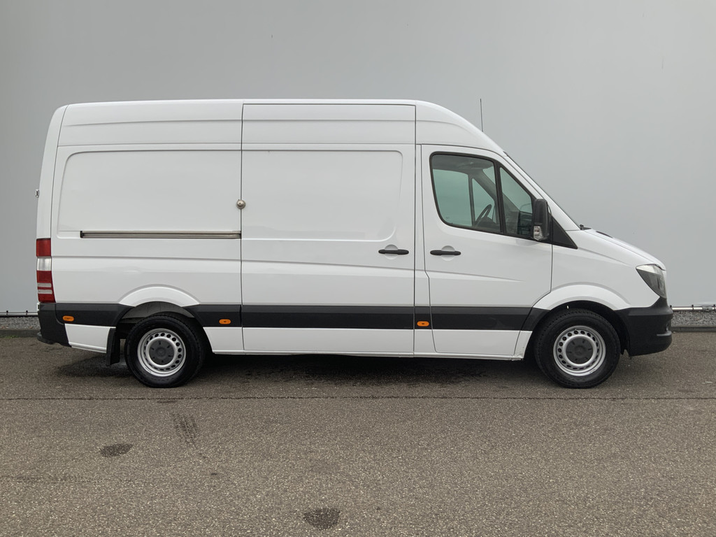 48691075-9.jpg