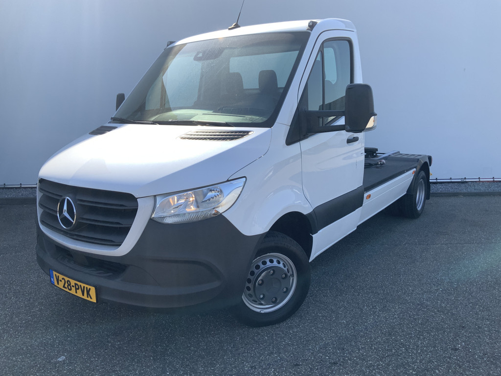 55389637