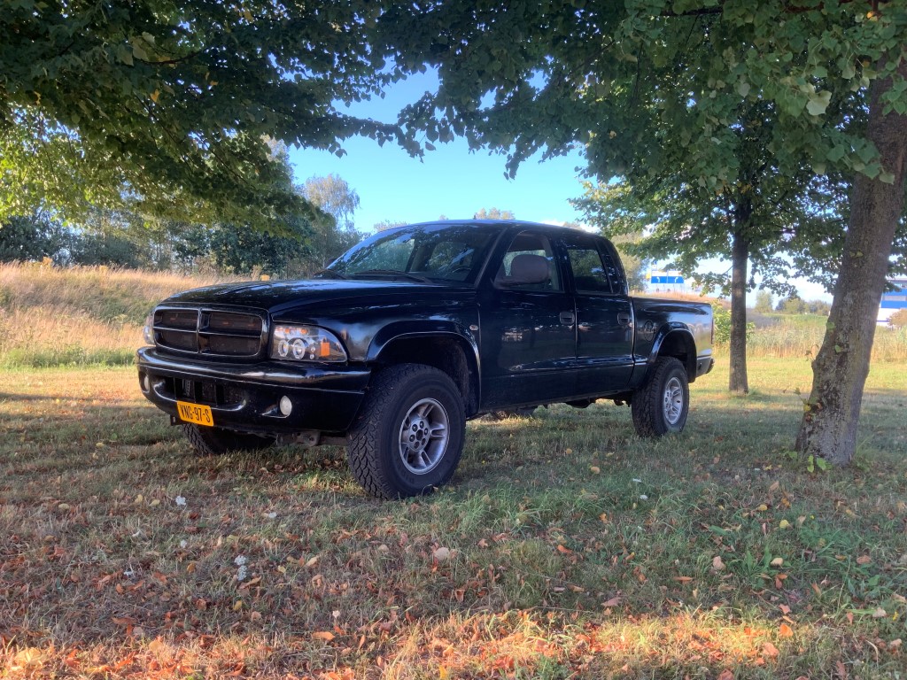 31445135